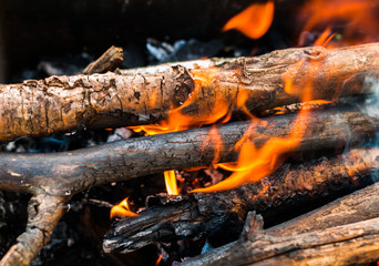 A wood with fire and smoke 