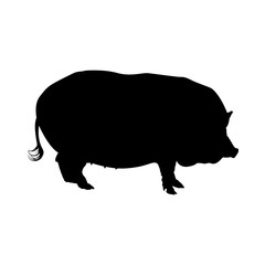 Pig Silhouette