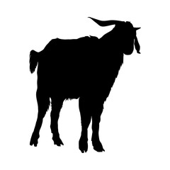 Goat Silhouette