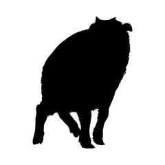 Bison Silhouette
