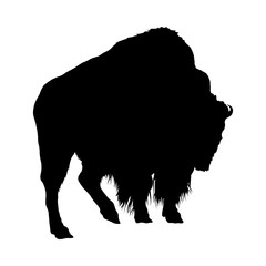 Yak Silhouette