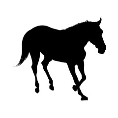 Horse Silhouette