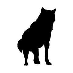 Wolf Silhouette