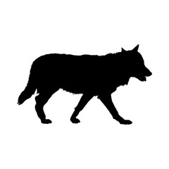 Wolf Silhouette