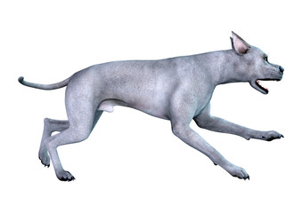 3D Rendering Blue Grat Dane Dog on White
