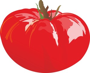 Tomate