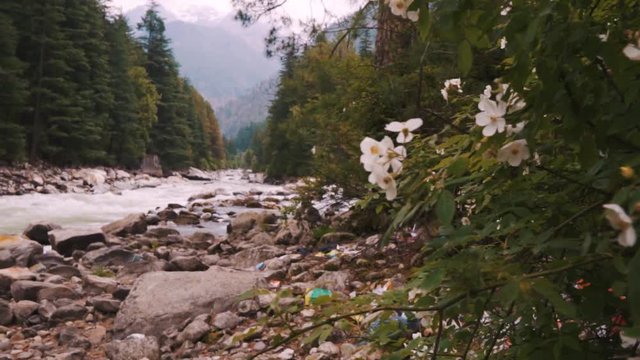 River in Kasol - River in a mountain valley - india