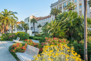 Obraz premium City of Split, Croatia, palms on Riva promenade and walls of palace of Roman emperor Diocletian, world heritage site