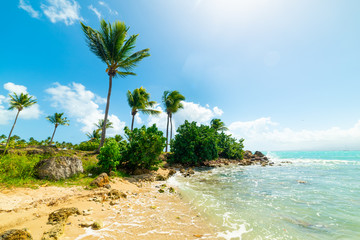 Beautiful Bas du Fort beach in Guadeloupe