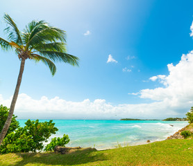 Blue sea in Bas du Fort beach in Guadeloupe