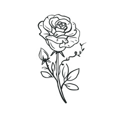 Beautiful hand drawn rose in old school style. Vector illustration of rose isolated on white. Hand drawn vector floral sketch.