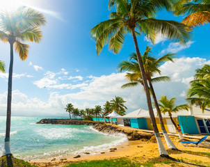 Colorful shore in Bas du Fort in Guadeloupe