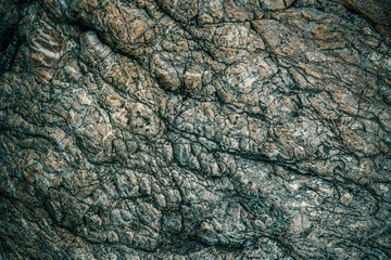 Fototapeta premium Skały przypominające skórę dinozaura