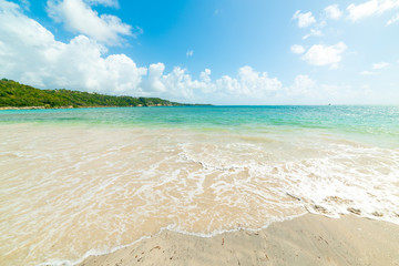 Clear water in Pointe de la Saline beach in Guadeloupe