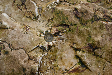 A crack in the rocks creates interesting textures