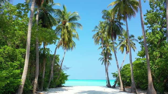 Thailand: zoom out clip of wide trail leaving a beach though a palm trees forest. Intense turquoise waters can be seen behind the white sand beach