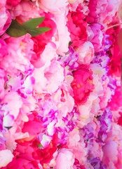 Beautiful background of pink peonies. Pink flowers background. Decorations of wedding celebration