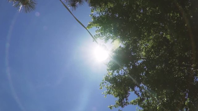 Perfect flare behind lamp in daylight.