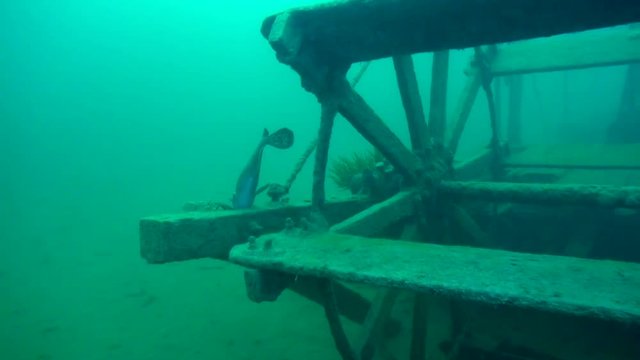 Burbot on the paddlewheel of goldrush ship AJ Goddard