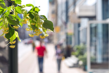 People walk down the street on a sunny day