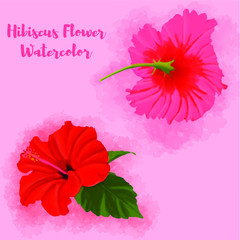 EPS Vector - Red Hibiscus Watercolor Hand Painted