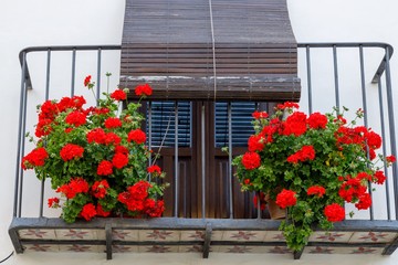 balcony decorated with red geraniums in a typical andalusian old house