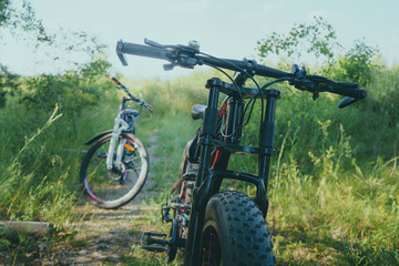 Fototapeta na wymiar mountain bike and city bike on nature background