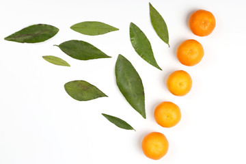 Mandarin with leaves on a white background.