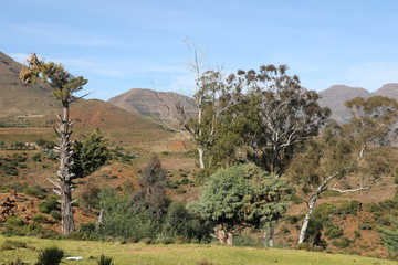 landscape in the mountains