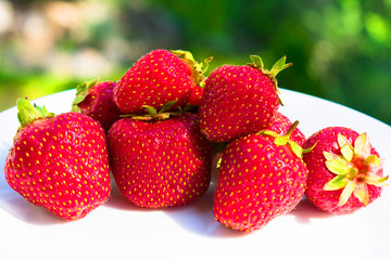  ripe strawberry berries on a plate on a background of fresh greens.