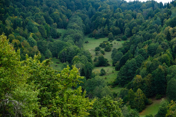 Fototapeta na wymiar Amazing caucasus mountains of Khulo village, Adjara region, Georgia. View from Tago village. Textures of the natural green forest