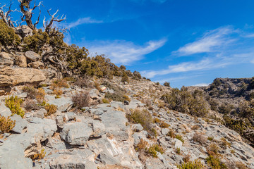 Landscape of Hajar Mountains, Oman. Markings of a hiking trail to the Jebel Shams, the tallest mountain of Oman.
