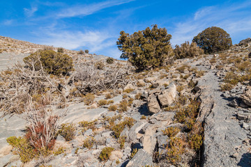 Landscape of Hajar Mountains near Jebel Shams, the tallest mountain of Oman
