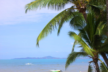 Fototapeta na wymiar Green palm trees against the blue sky on a Sunny day. Summer holiday.