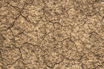 Cracked Soil texture and background of ground earth background