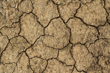 Cracked Soil texture and background of ground earth background