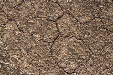 Cracked Soil texture and background of ground earth background