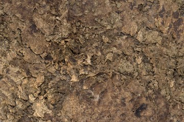 Cow dung texture background with natural