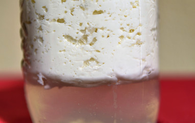 Kefir serum. The milk was metabolised.