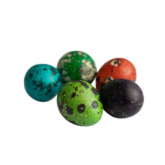 easter concept. several quail dyed easter eggs