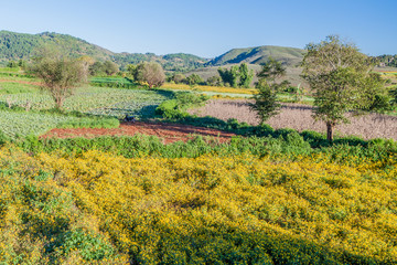 Fototapeta na wymiar Rural landscape in the area between Kalaw and Inle, Myanmar