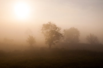 Fototapeta na wymiar Early morning mist in a village in Myanmar