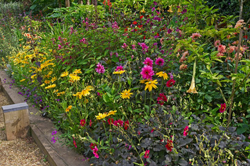 View of a colourful flower border at an old English Cottage garden