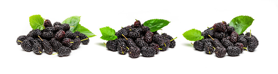 Frische dunkle Maulbeeren isoliert auf weißem hintergrund