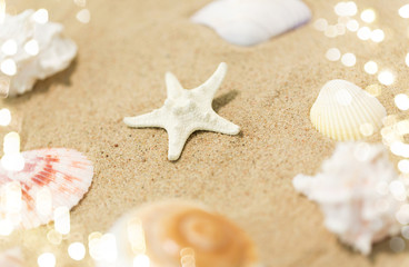 Fototapeta na wymiar vacation and summer holidays concept - starfish and seashells on beach sand