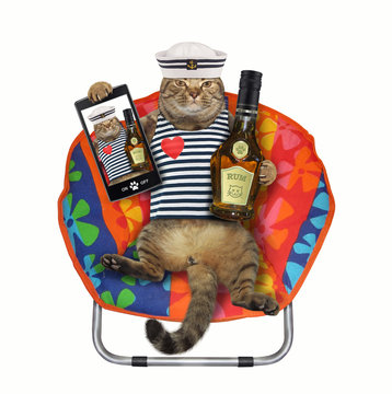The cat seaman in a sailor hat with a smartphone and a bottle of rum is sitting in a beach chairs. White background. Isolated.