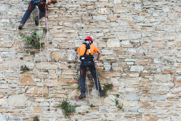 Team of workers clear the wall of plants