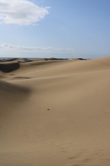 Spaziergang durch das Naturreservat der Dünen von Maspalomas. Gran Canaria , Spanien