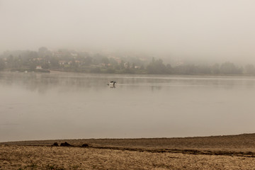 foggy morning on the lake