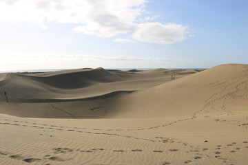 Fototapeta na wymiar Spaziergang durch das Naturreservat der Dünen von Maspalomas. Gran Canaria , Spanien
